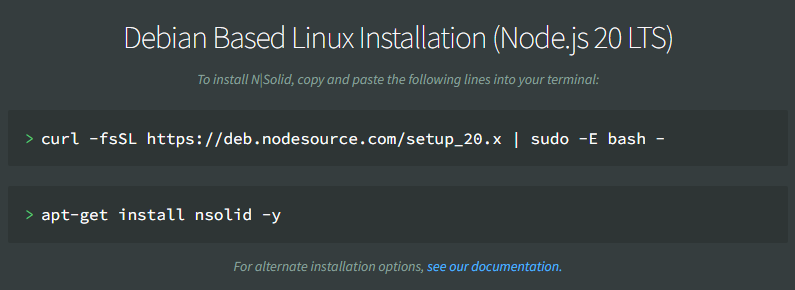 Screenshot of Node.js 20 Iron LTS instructions