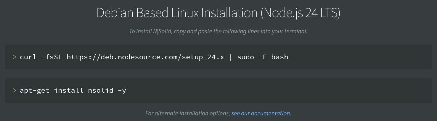 Screenshot of Node.js 24 Krypton LTS instructions