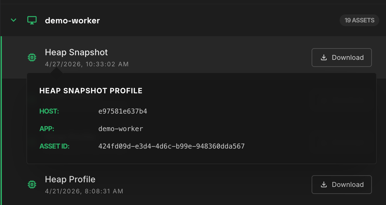 Asset Info