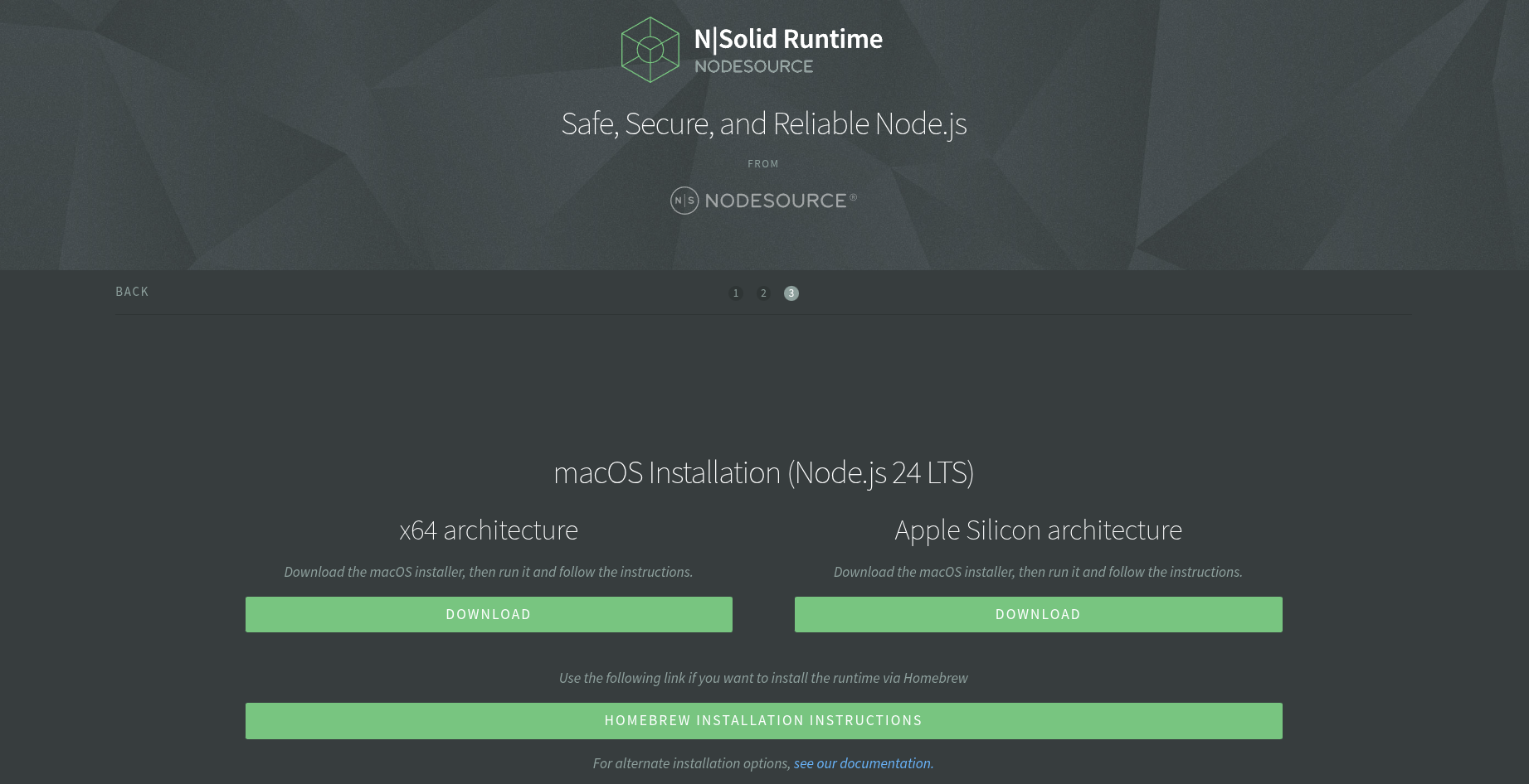 Screenshot of Node.js 24 Krypton LTS instructions