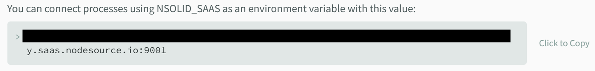SaaS Environment Variable